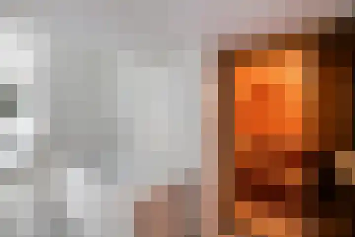 Hanzehof 16 Tiel thumbnail 25