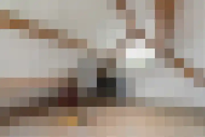 Hanzehof 16 Tiel thumbnail 29