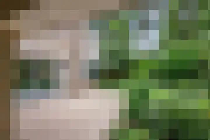 Hanzehof 16 Tiel thumbnail 30