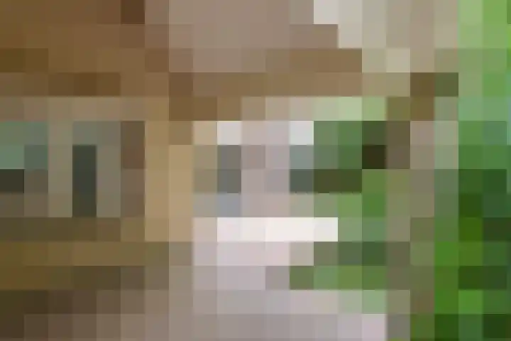 Hanzehof 16 Tiel thumbnail 32