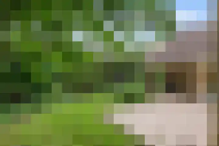 Hanzehof 16 Tiel thumbnail 33