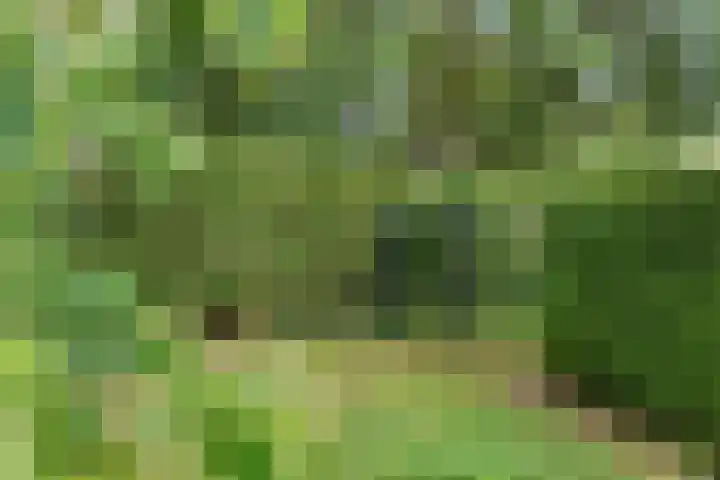 Hanzehof 16 Tiel thumbnail 34
