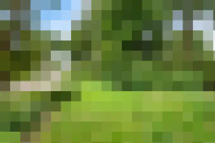 Hanzehof 16 Tiel thumbnail 35