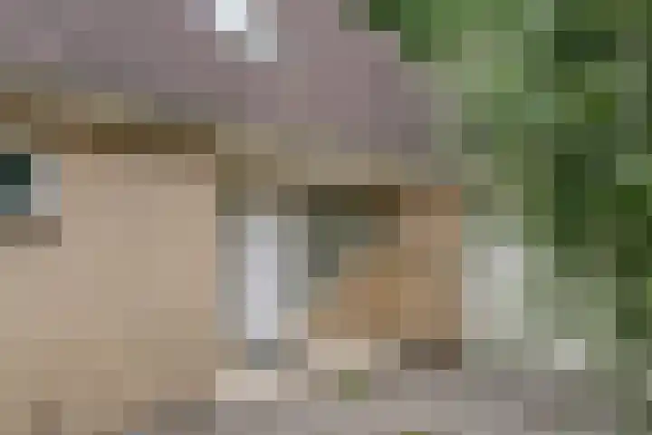 Hanzehof 16 Tiel thumbnail 36