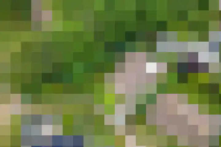 Hanzehof 16 Tiel thumbnail 37