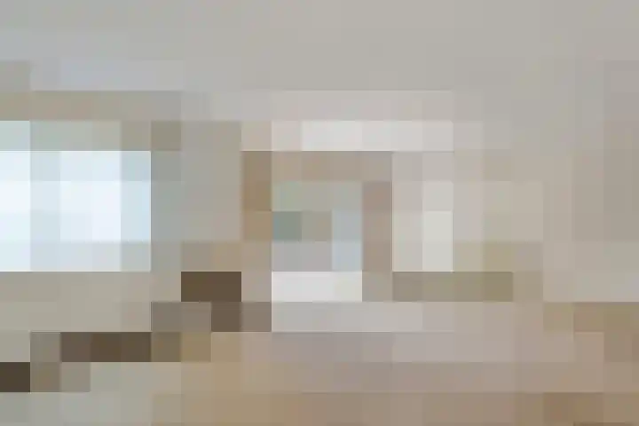 Hanzehof 16 Tiel thumbnail 4