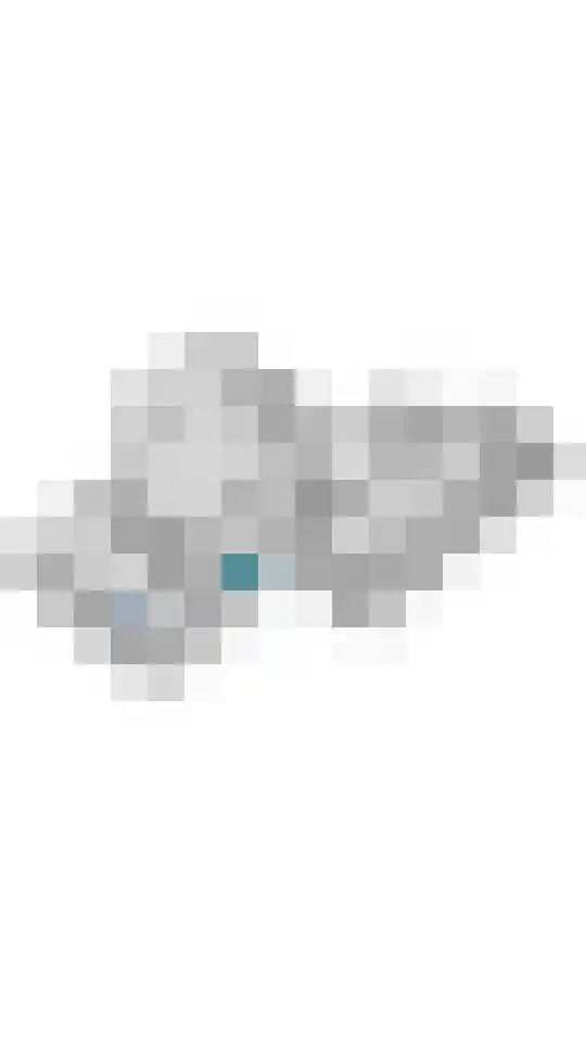 Hanzehof 16 Tiel thumbnail 41