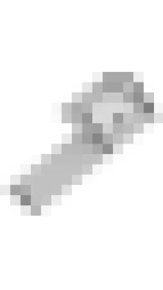 Hanzehof 16 Tiel thumbnail 43