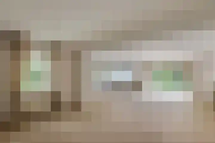 Hanzehof 16 Tiel thumbnail 5