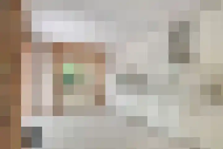 Hanzehof 16 Tiel thumbnail 8