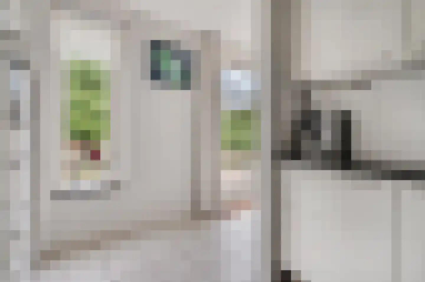 Hanzehof 23 Tiel thumbnail 19