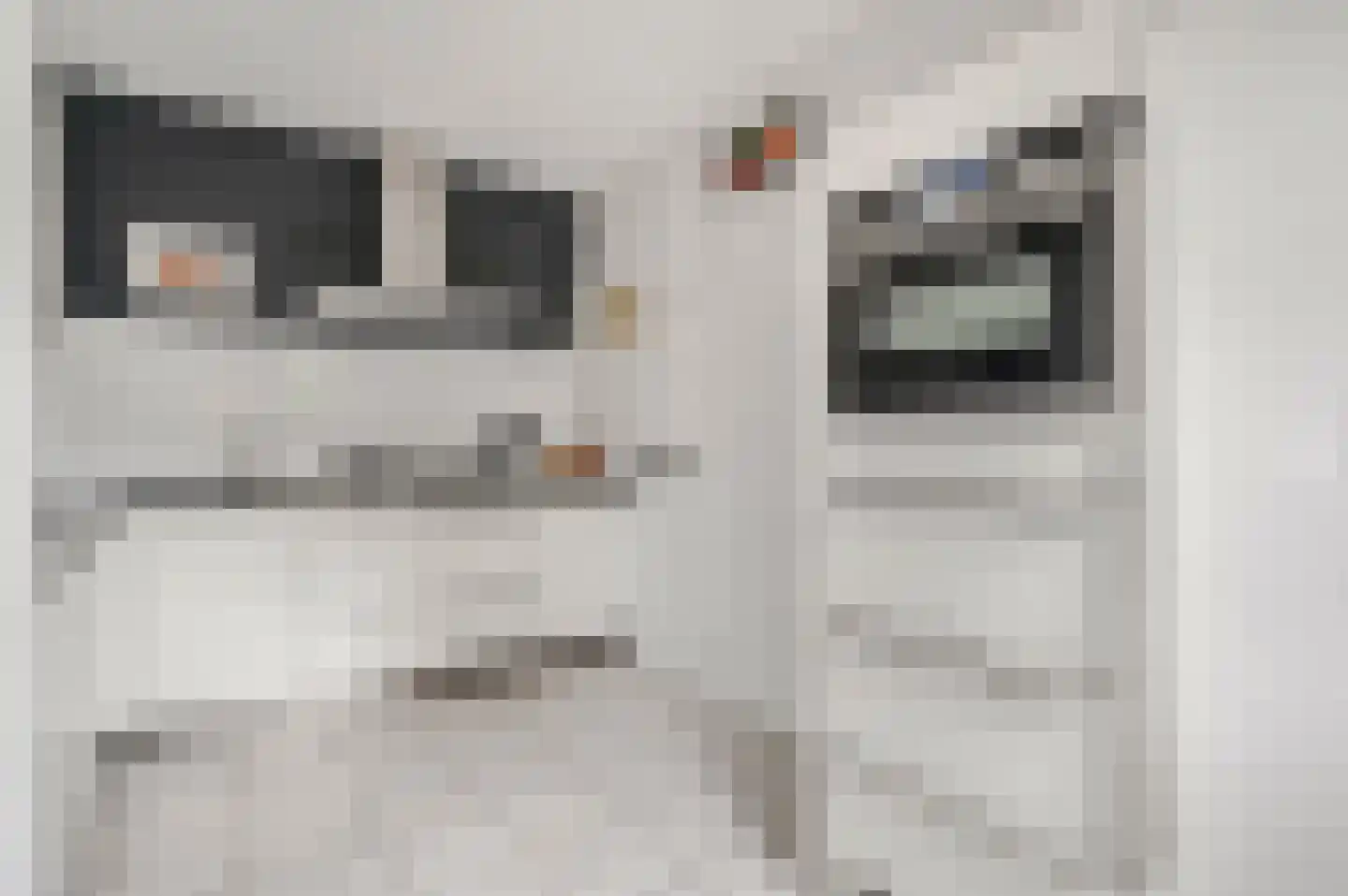 Hanzehof 23 Tiel thumbnail 20