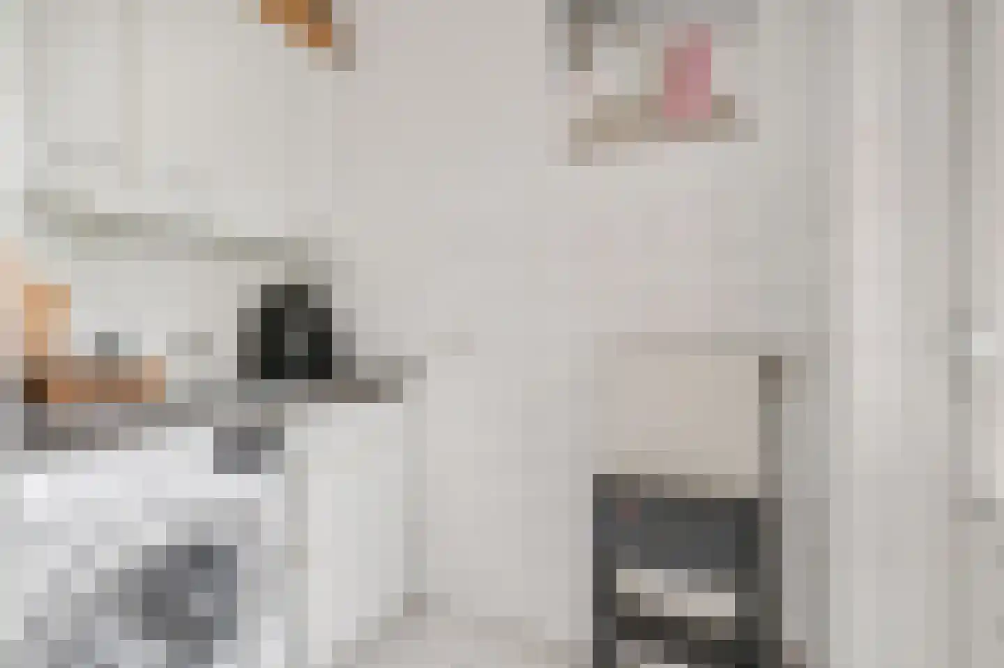 Hanzehof 23 Tiel thumbnail 21