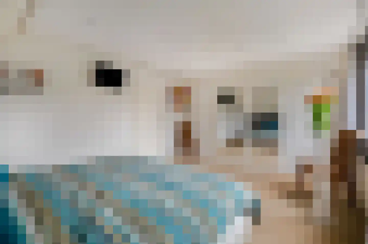 Hanzehof 23 Tiel thumbnail 30