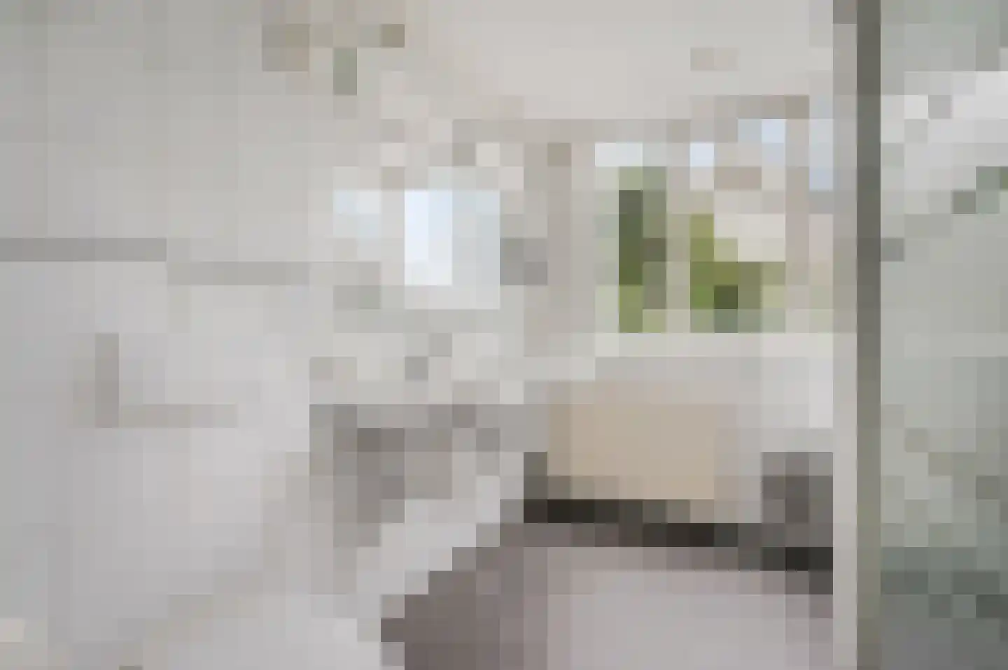 Hanzehof 23 Tiel thumbnail 32