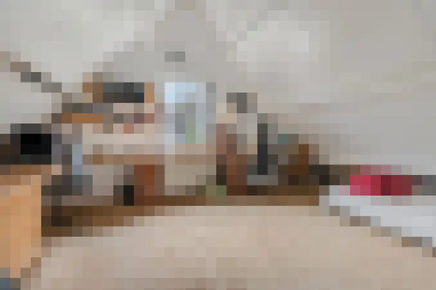 Hanzehof 23 Tiel thumbnail 40