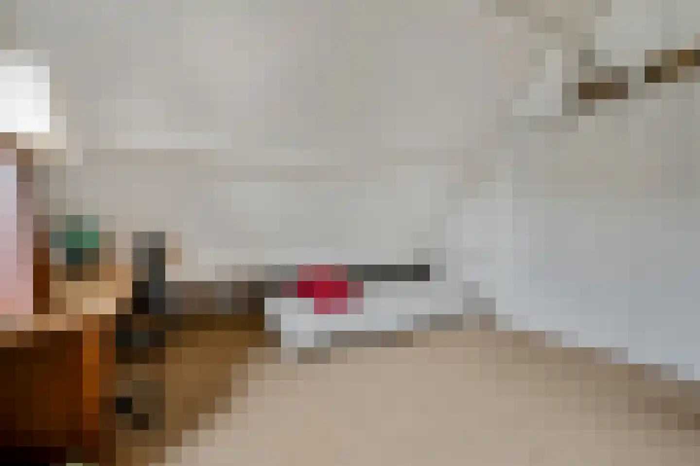 Hanzehof 23 Tiel thumbnail 42