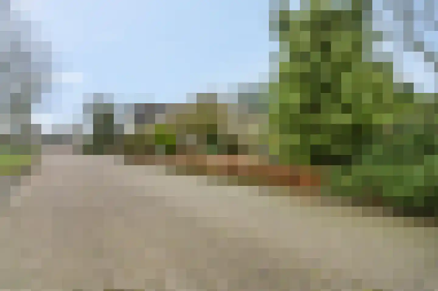 Hanzehof 23 Tiel thumbnail 48