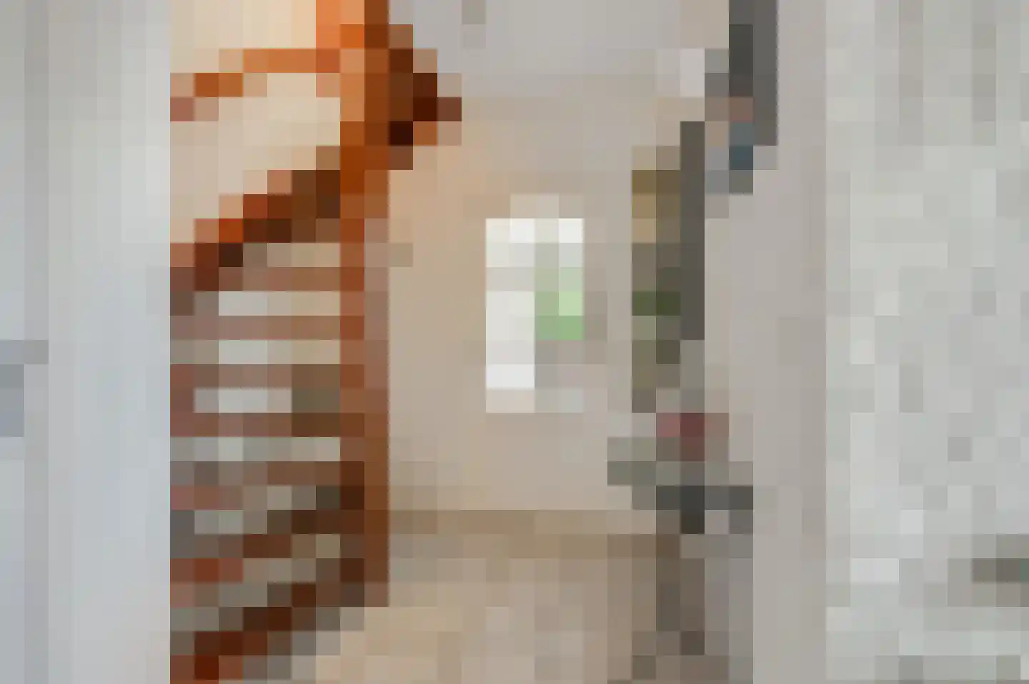 Hanzehof 23 Tiel thumbnail 5