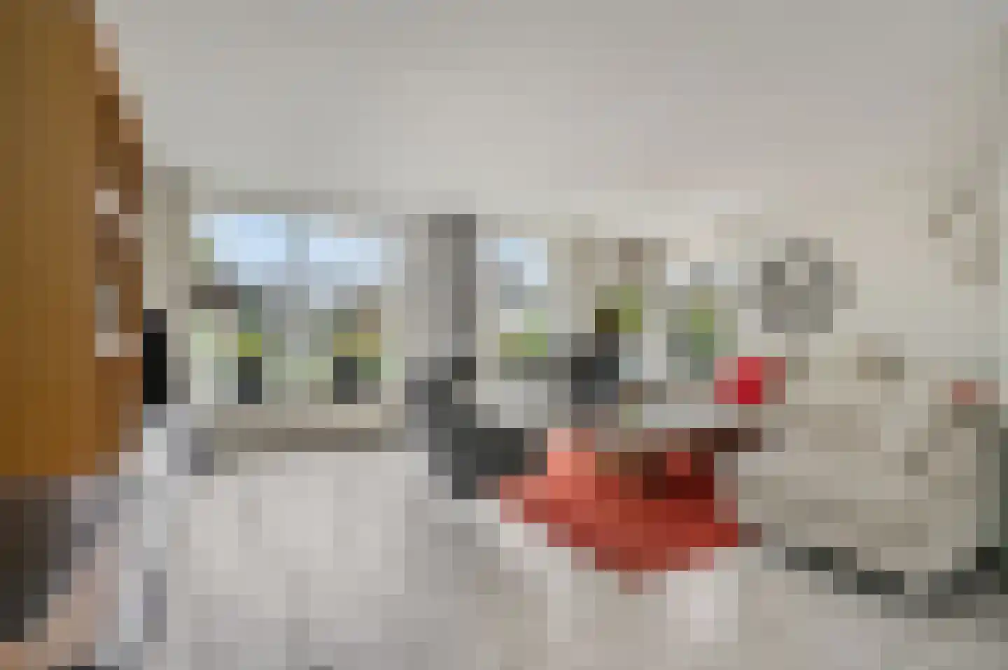 Hanzehof 23 Tiel thumbnail 8