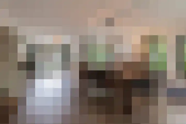 Hanzehof 28 Tiel thumbnail 11