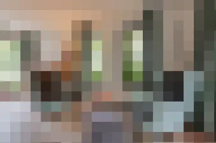 Hanzehof 28 Tiel thumbnail 12