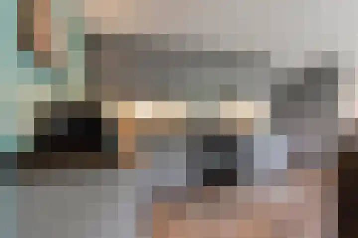 Hanzehof 28 Tiel thumbnail 14