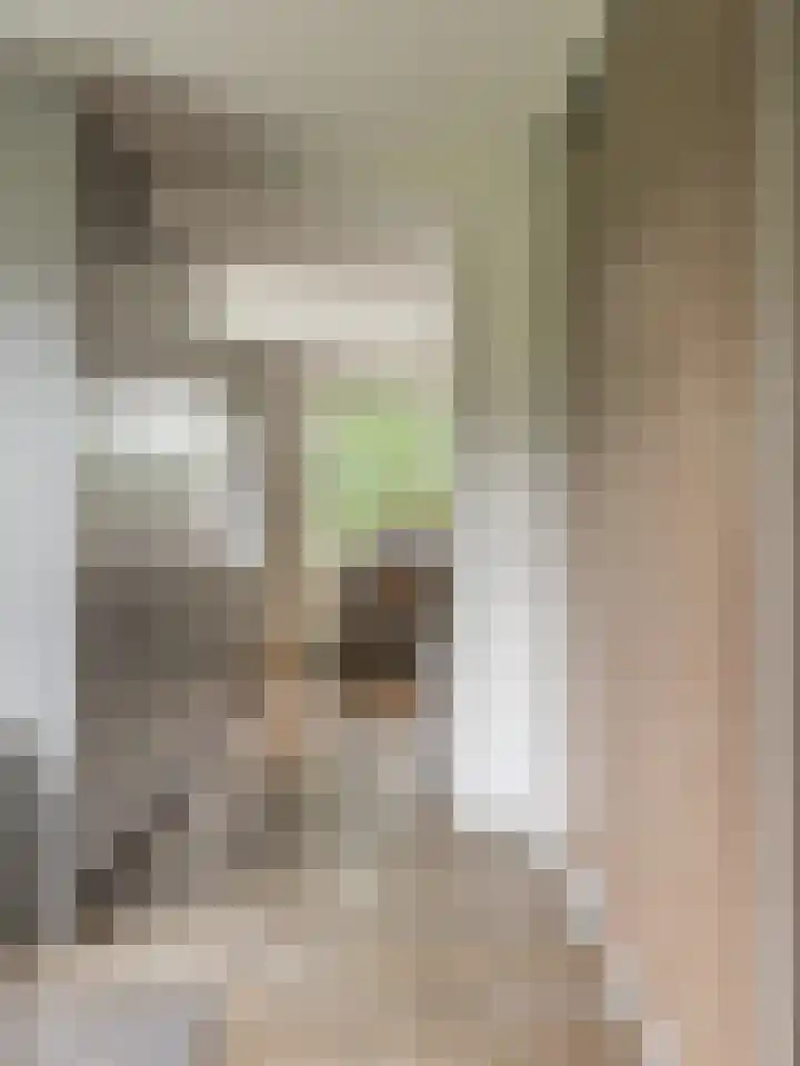 Hanzehof 28 Tiel thumbnail 18