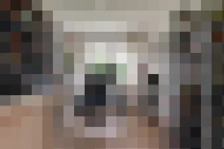 Hanzehof 28 Tiel thumbnail 19