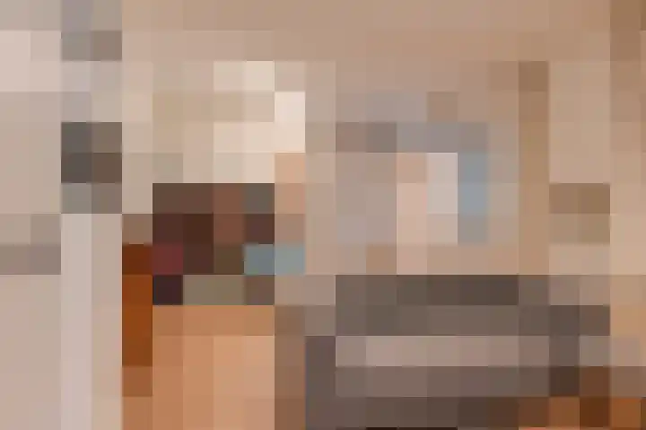 Hanzehof 28 Tiel thumbnail 21