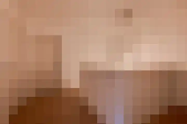 Hanzehof 28 Tiel thumbnail 22