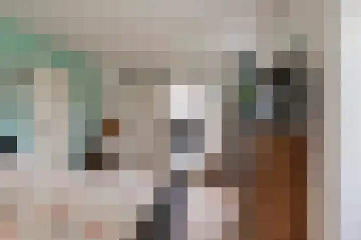 Hanzehof 28 Tiel thumbnail 25