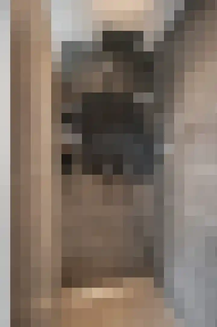 Hanzehof 28 Tiel thumbnail 28