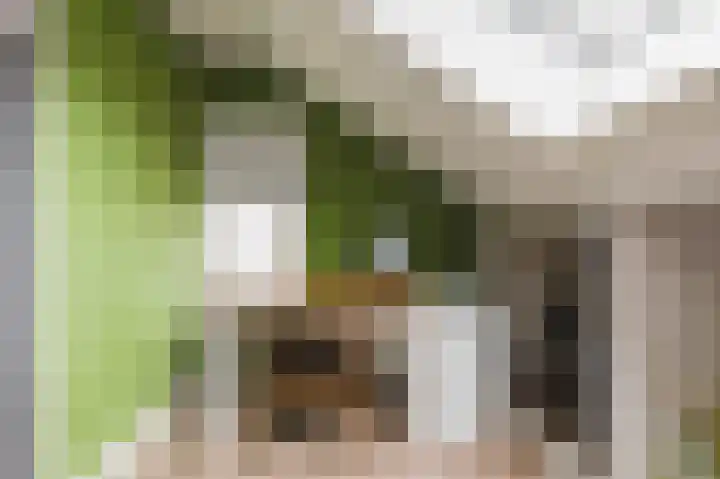 Hanzehof 28 Tiel thumbnail 33