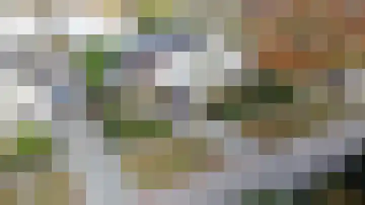 Hanzehof 28 Tiel thumbnail 4