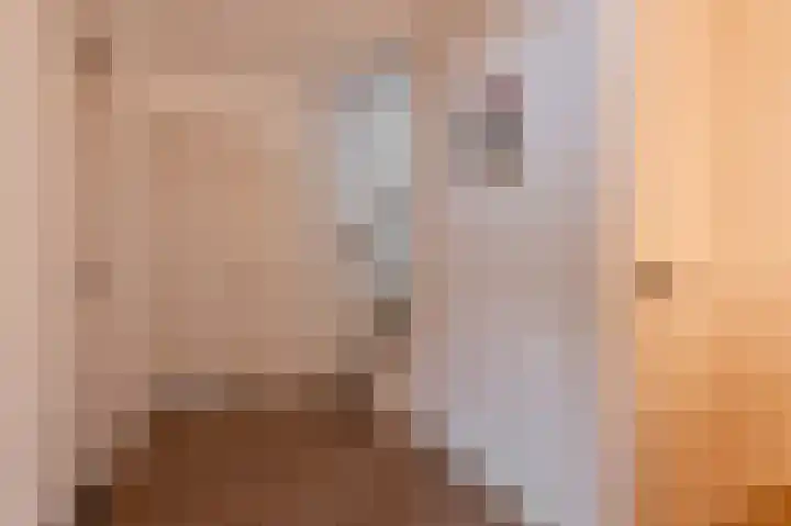 Hanzehof 28 Tiel thumbnail 41