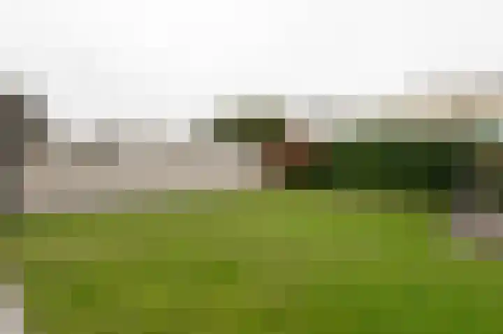 Hanzehof 28 Tiel thumbnail 42