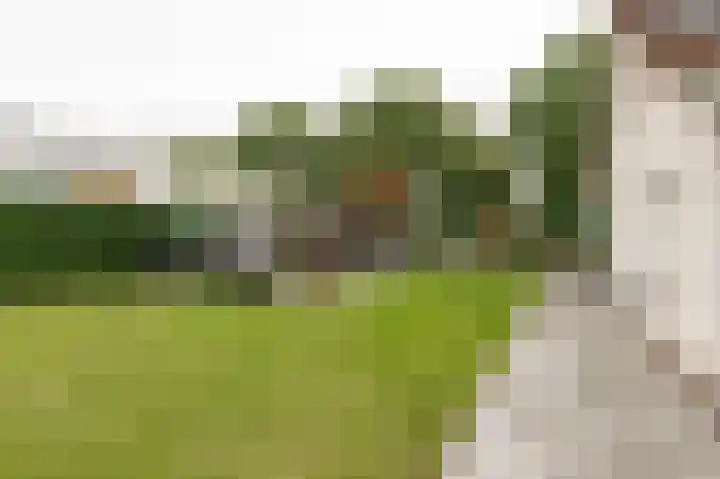 Hanzehof 28 Tiel thumbnail 43
