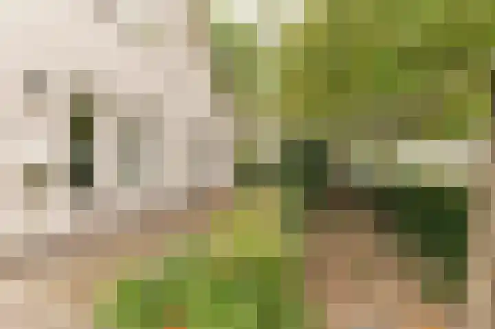 Hanzehof 28 Tiel thumbnail 5