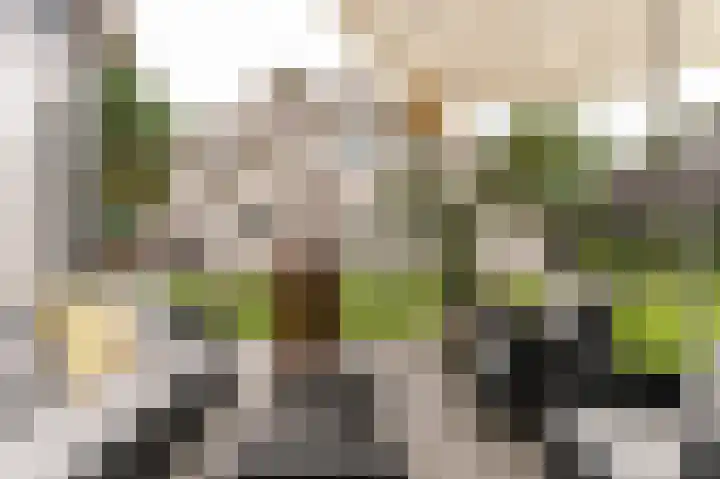 Hanzehof 28 Tiel thumbnail 53