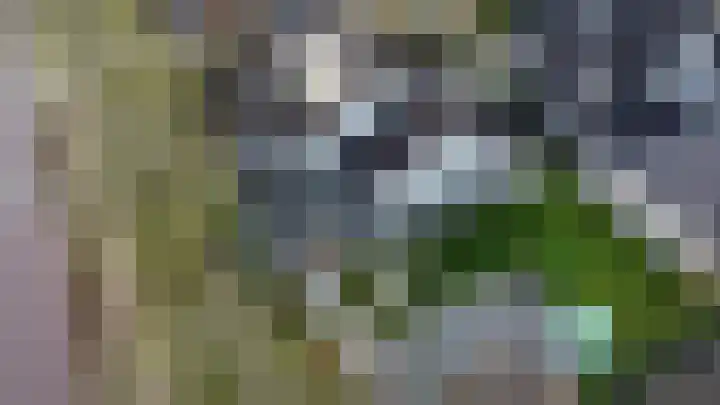 Hanzehof 28 Tiel thumbnail 56