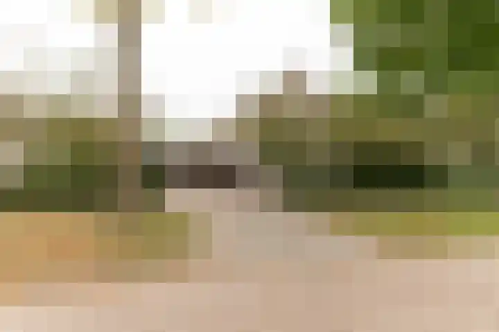 Hanzehof 28 Tiel thumbnail 58