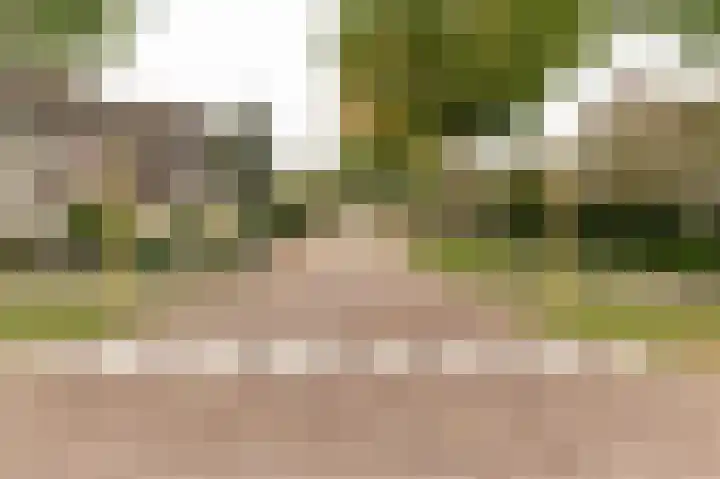 Hanzehof 28 Tiel thumbnail 59