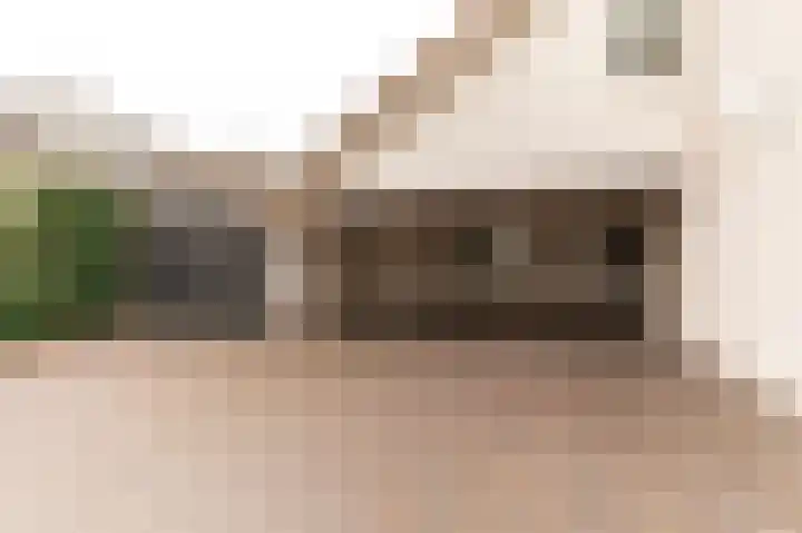 Hanzehof 28 Tiel thumbnail 6