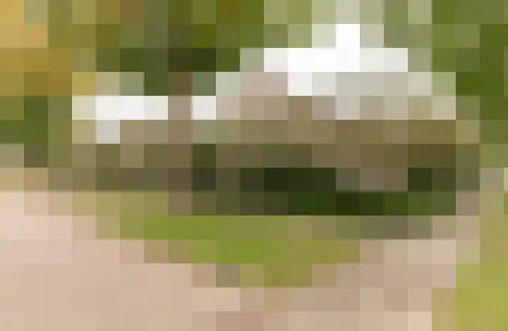 Hanzehof 28 Tiel thumbnail 60