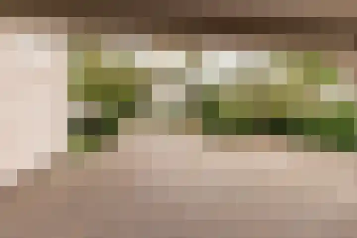 Hanzehof 28 Tiel thumbnail 7