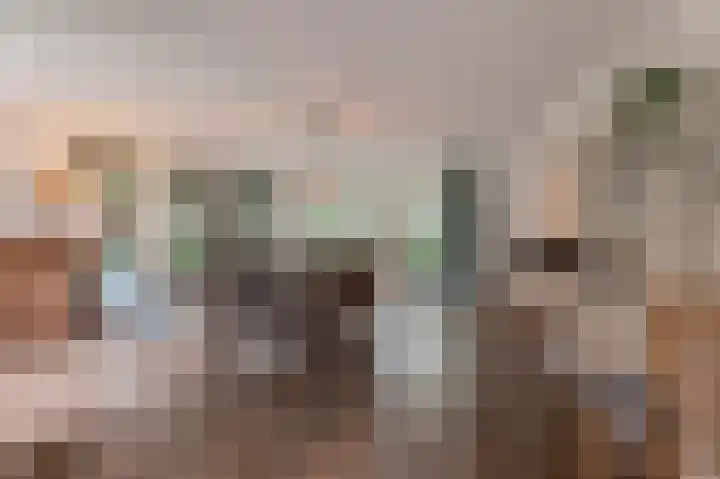 Hanzehof 28 Tiel thumbnail 9