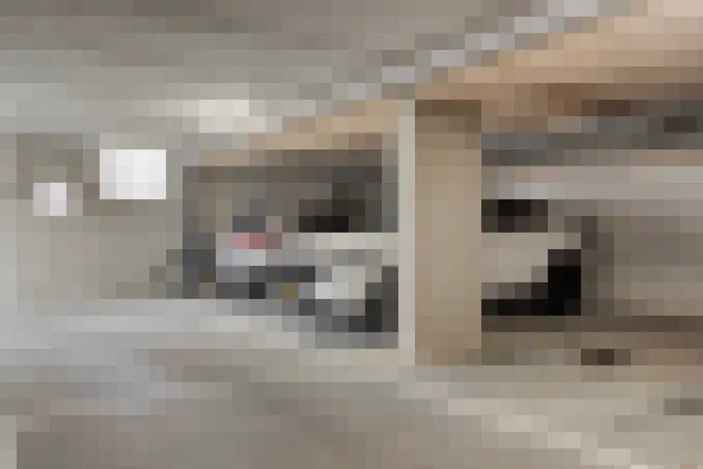 Hanzekade 118 Dronten thumbnail 26