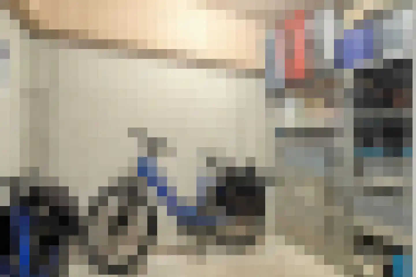 Hanzekade 118 Dronten thumbnail 27