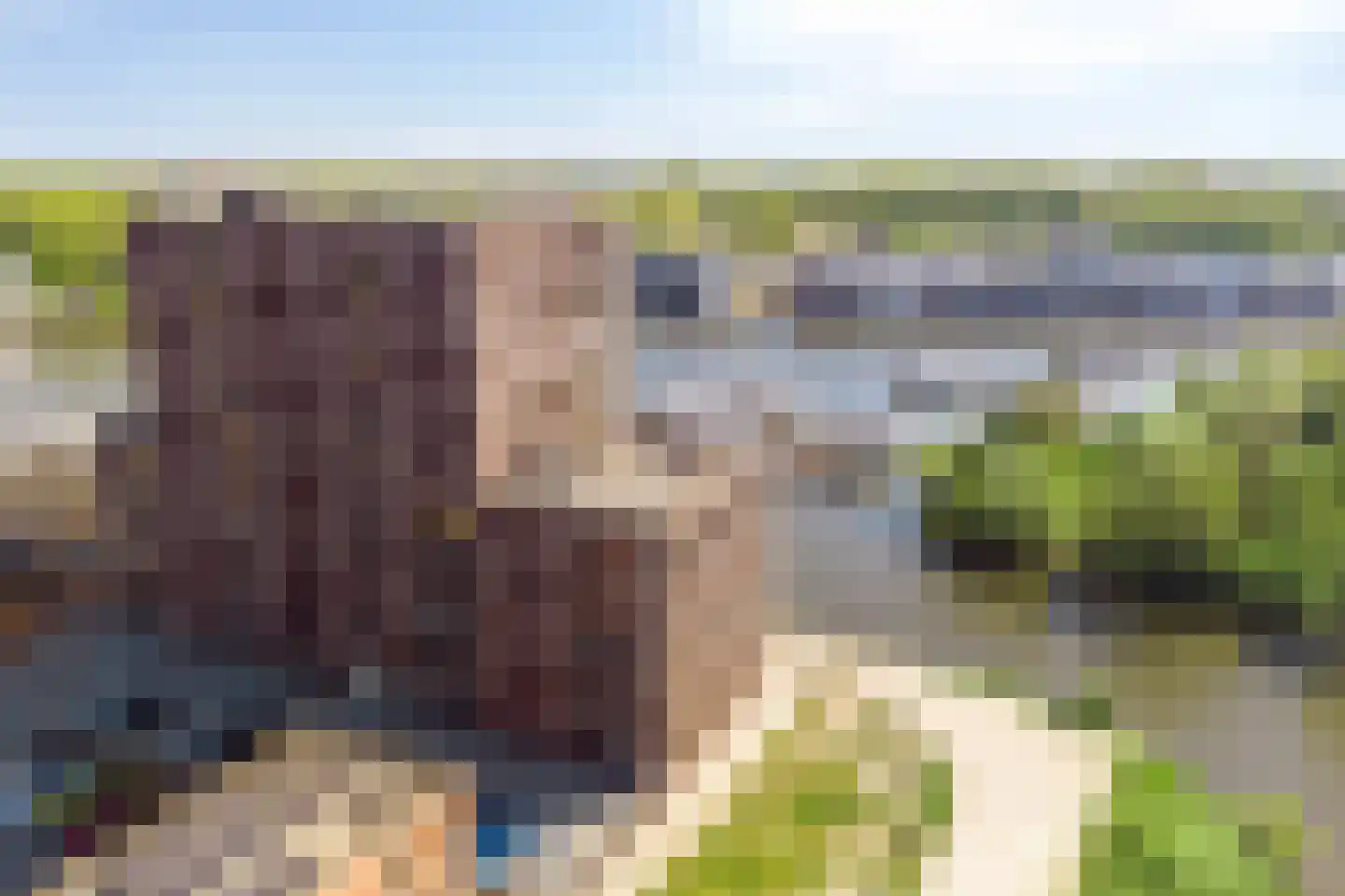 Hanzekade 118 Dronten thumbnail 32